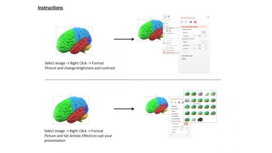 Stock Photo Multicolored Human Brain For Medical Use PowerPoint Slide