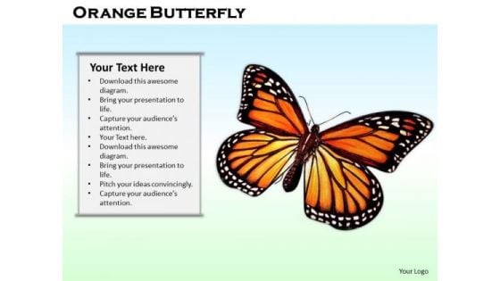 Stock Photo Orange Butterfly On Blue Background PowerPoint Slide