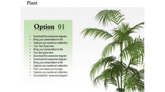 Stock Photo Plant Trees For Environment PowerPoint Slide