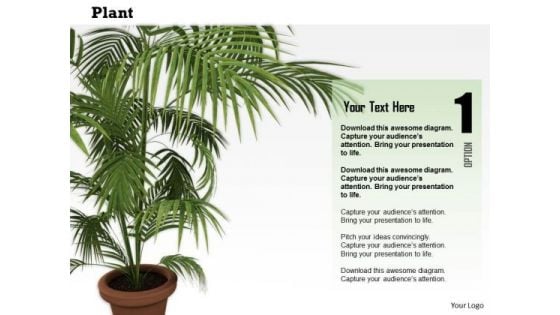 Stock Photo Plant Trees Save Earth Conceptual Image PowerPoint Slide