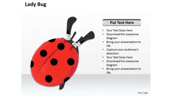 Stock Photo Red Lady Bug On White Background PowerPoint Slide