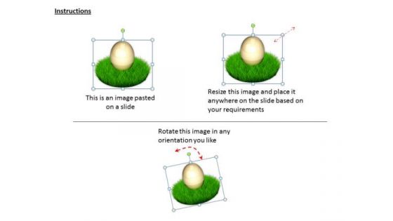 Stock Photo Sales Concepts Easter Egg Green Grass Business Icons Images