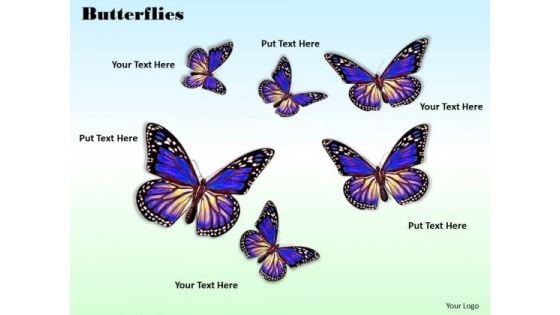 Stock Photo Six Purple Butterflies On Sky Blue Background PowerPoint Slide