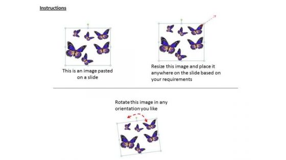 Stock Photo Six Purple Butterflies On Sky Blue Background PowerPoint Slide
