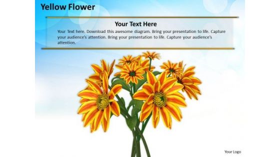 Stock Photo Yellow Flowers With Blue Sky In Background PowerPoint Slide