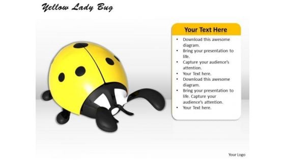 Stock Photo Yellow Lady Bug Insect PowerPoint Slide