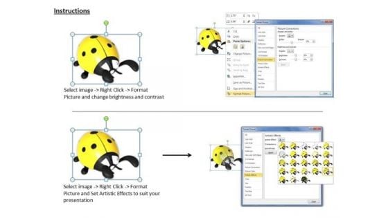 Stock Photo Yellow Lady Bug Insect PowerPoint Slide