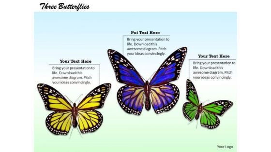 Stock Photo Yellow Purple And Green Butterflies Pwerpoint Slide