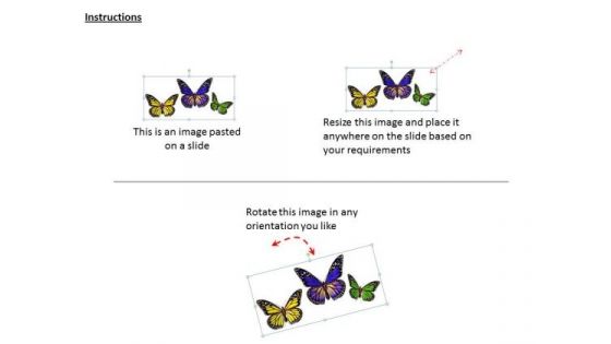 Stock Photo Yellow Purple And Green Butterflies Pwerpoint Slide