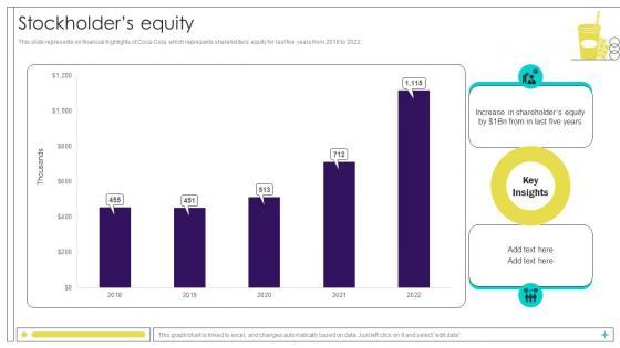Stockholders Equity Beverage Manufacturer Company Profile Ppt Sample CP SS V