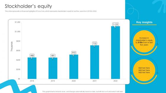 Stockholders Equity Liquid Refreshment Manufacturer Company Profile Ppt Example CP SS V
