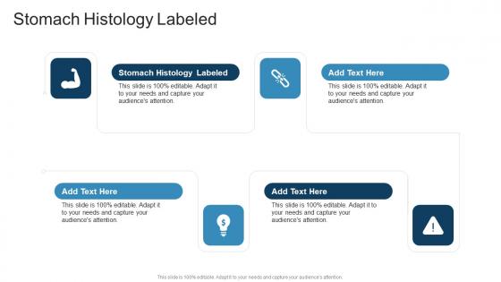 Stomach Histology Labeled In Powerpoint And Google Slides Cpb