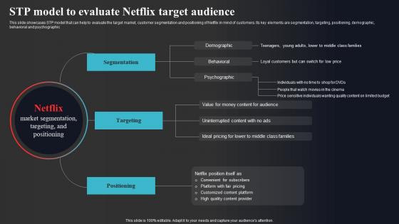 Stp Model To Evaluate Netflix Target Audience Enhancing Online Visibility Guidelines Pdf