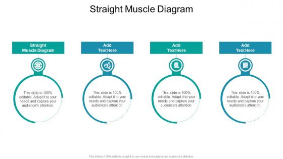 Straight Muscle Diagram In Powerpoint And Google Slides Cpb