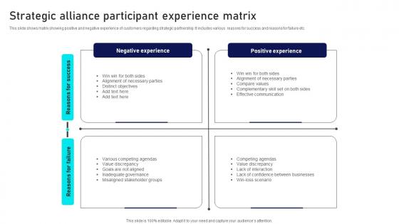 Strategic Alliance Participant Experience Matrix Formats Pdf