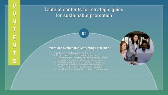Strategic Guide For Sustainable Promotion Table Of Contents Structure Pdf