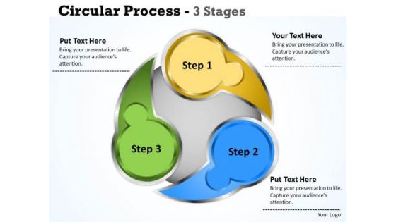 Strategic Management Circluar Process 3 Stages Business Diagram