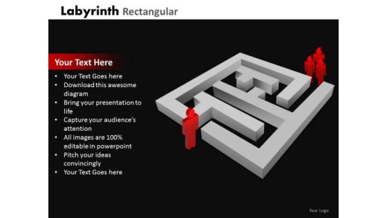 Strategic Management Labyrinth Rectangular Business Diagram