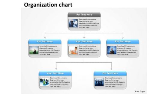 Strategic Management Organization Chart Templates Business Finance Strategy Development