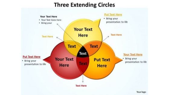 Strategic Management Three Extending Circles Diagram Business Diagram