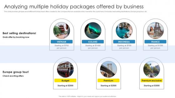 Strategic Marketing Plan Analyzing Multiple Holiday Packages Offered Summary Pdf