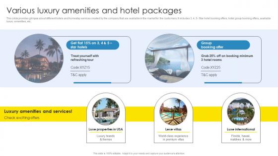 Strategic Marketing Plan Various Luxury Amenities And Hotel Packages Background Pdf