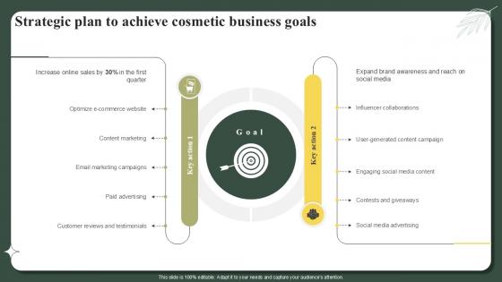 Strategic Plan To Achieve Cosmetic Business Goals Successful Launch Ppt Template