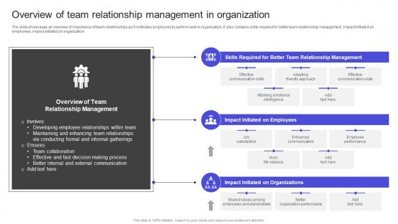 Strategies To Build Meaningful Overview Of Team Relationship Management In Organization Background PDF