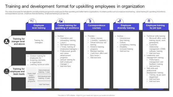 Strategies To Build Meaningful Training And Development Format For Upskilling Employees Themes PDF