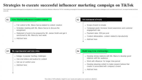 Strategies To Execute Successful Influencer TikTok Advertising Strategies To Provide Effective Structure Pdf