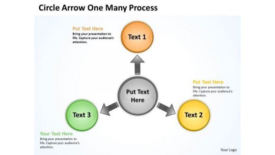 Strategy Diagram Circle Arrow One Many Process Marketing Diagram