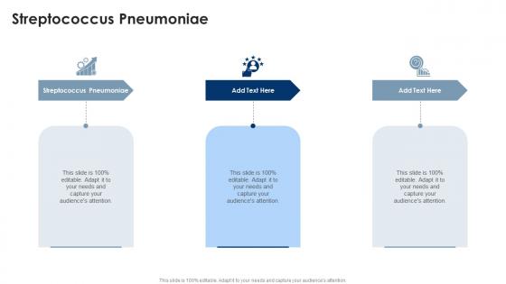 Streptococcus Pneumoniae In Powerpoint And Google Slides Cpb