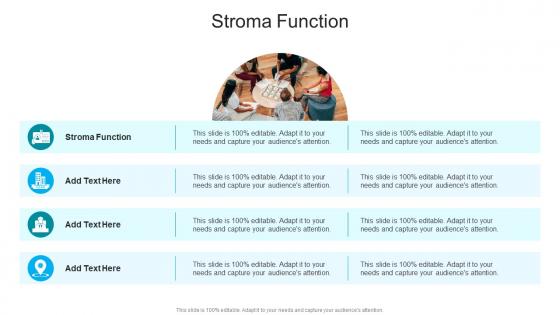 Stroma Function In Powerpoint And Google Slides Cpb
