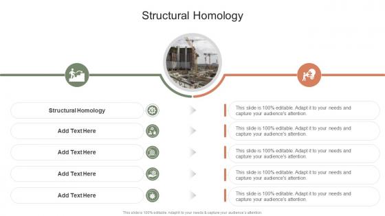 Structural Homology In Powerpoint And Google Slides Cpb
