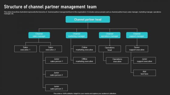 Structure Of Channel Partner Management Team Cooperative Sales Tactics Professional Pdf