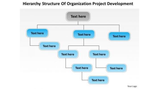Structure Of Organization Project Development Ppt Business Plan Draft PowerPoint Templates