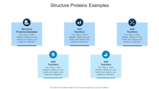 Structure Proteins Examples In Powerpoint And Google Slides Cpb