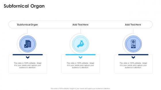 Subfornical Organ In Powerpoint And Google Slides Cpb