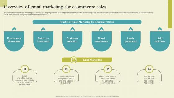 Successful Guide For Ecommerce Promotion Overview Of Email Marketing For Summary Pdf