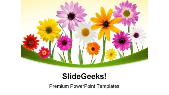 Summer Daisies Beauty PowerPoint Templates And PowerPoint Backgrounds 0311