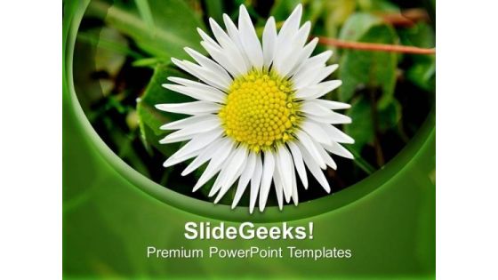 Summer Flower Nature PowerPoint Templates Ppt Backgrounds For Slides 0513