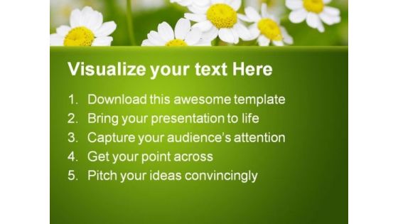 Summer Time Daisies Nature PowerPoint Templates And PowerPoint Backgrounds 0311