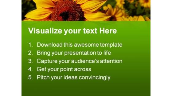 Sunflower01 Nature PowerPoint Templates And PowerPoint Backgrounds 0211