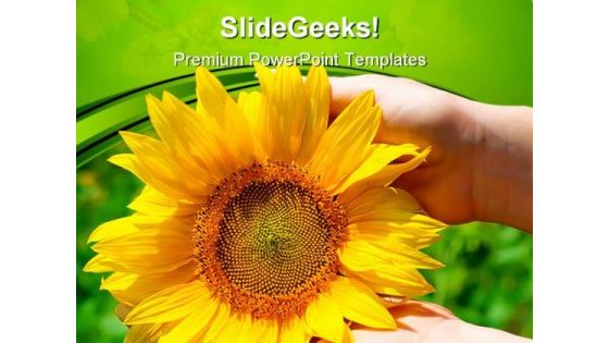 Sunflower In Female Hands Nature PowerPoint Themes And PowerPoint Slides 0411