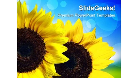 Sunflower Nature PowerPoint Templates And PowerPoint Backgrounds 0211