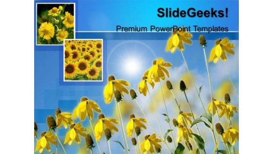 Sunflower Nature PowerPoint Templates And PowerPoint Themes 0512