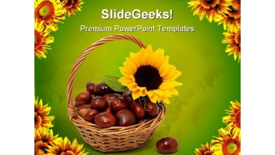 Sunflower With Chestnuts Nature PowerPoint Templates And PowerPoint Backgrounds 0311