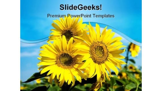 Sunflowers Family Nature PowerPoint Templates And PowerPoint Backgrounds 0211