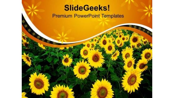 Sunflowers With Yellow Background PowerPoint Templates Ppt Backgrounds For Slides 0713