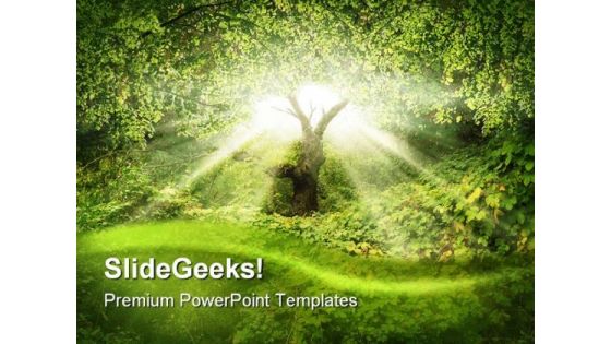 Sunlight In Forest Nature PowerPoint Template 0910